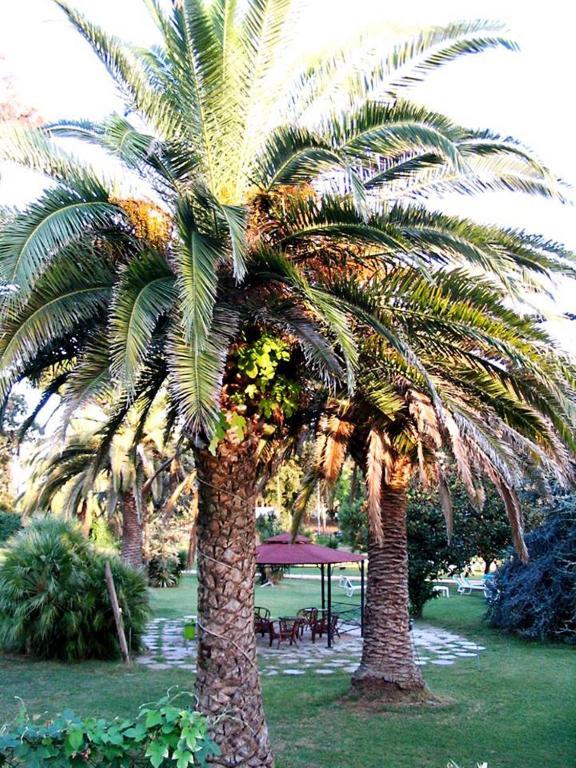 Hotel Parco Dei Principi Anzio Bilik gambar